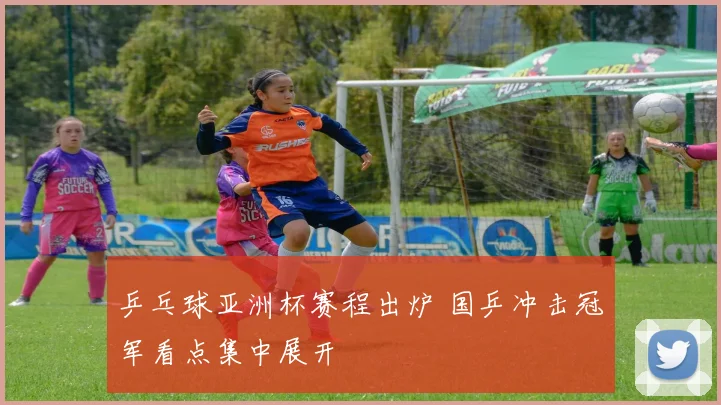 乒乓球亚洲杯赛程出炉 国乒冲击冠军看点集中展开