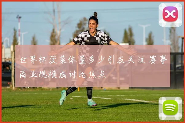 世界杯菠菜体量多少引发关注 赛事商业规模成讨论焦点