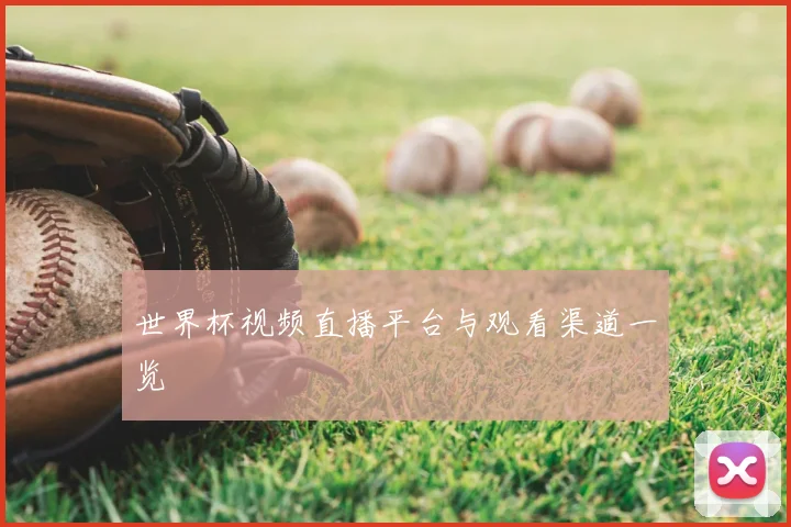 世界杯视频直播平台与观看渠道一览