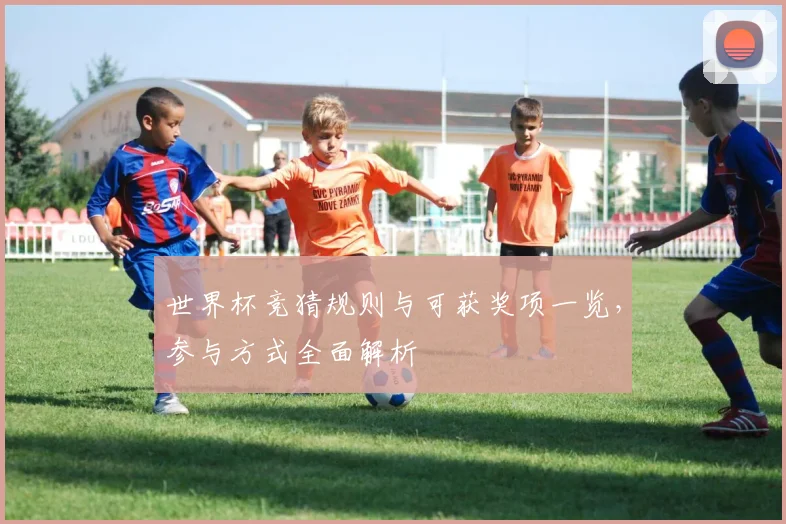 世界杯竞猜规则与可获奖项一览，参与方式全面解析