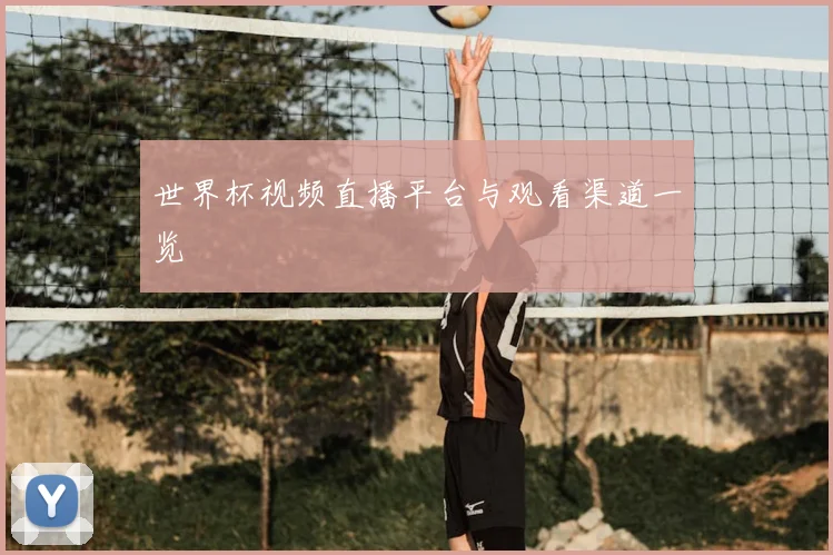 世界杯视频直播平台与观看渠道一览