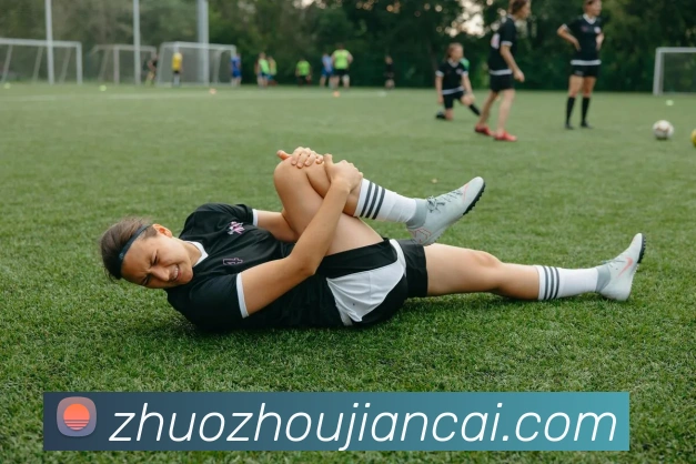 kaiyun入口平台生态图