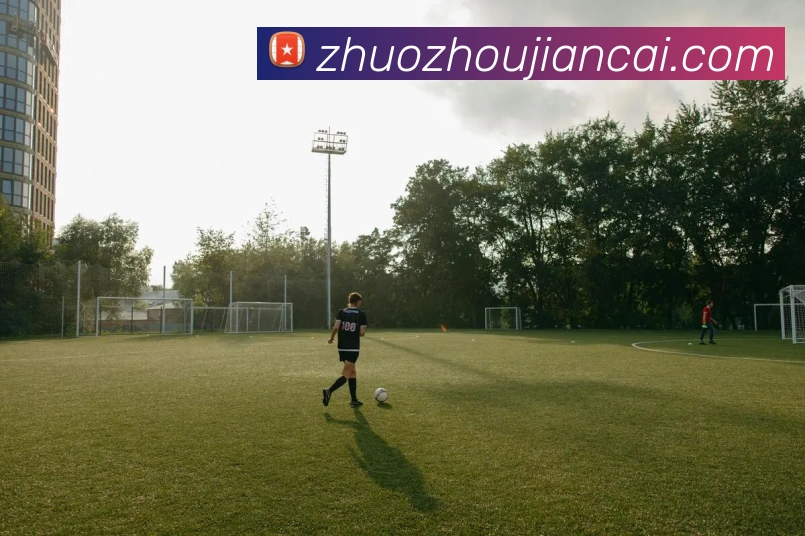 kaiyun入口全站App